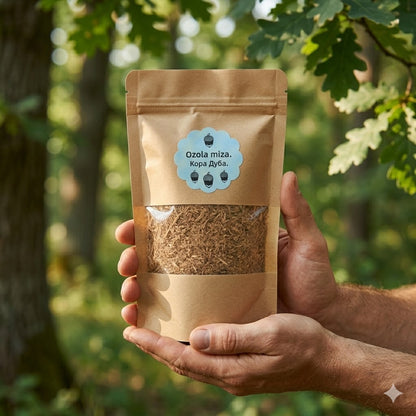 Cilvēka rokas tur ozola mizas pulvera iepakojumu saules apspīdētā, zaļā ozolu mežā.